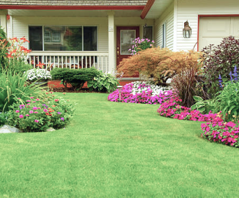 Rectangle 34624465 (2)